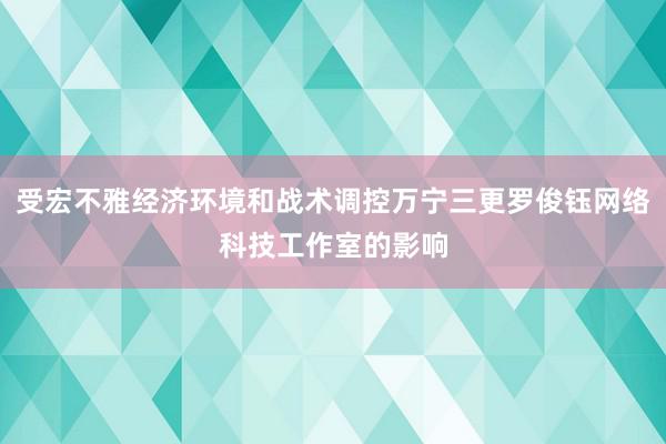 受宏不雅经济环境和战术调控万宁三更罗俊钰网络科技工作室的影响