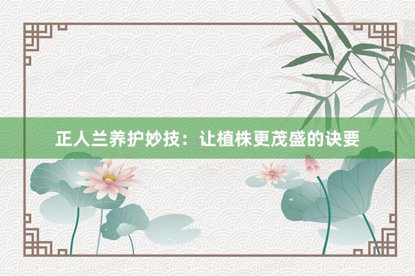 正人兰养护妙技：让植株更茂盛的诀要