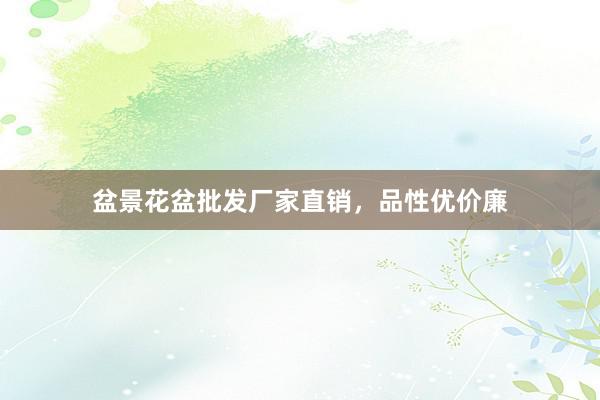 盆景花盆批发厂家直销，品性优价廉