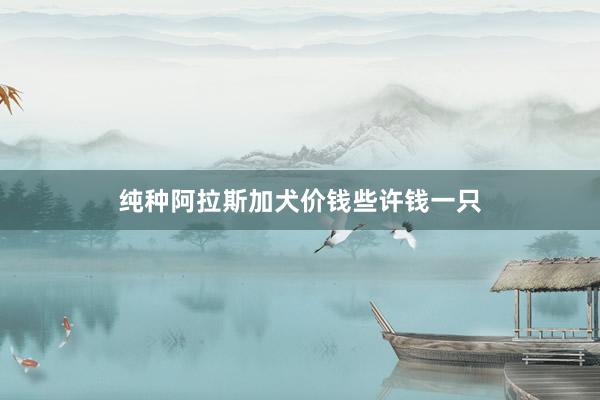 纯种阿拉斯加犬价钱些许钱一只
